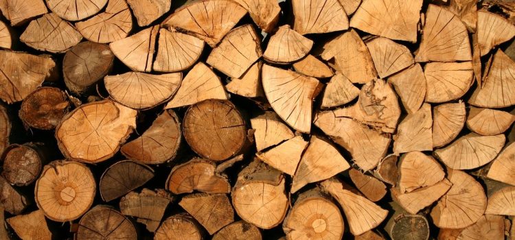Usinage du bois : quels sont les équipements à avoir ?